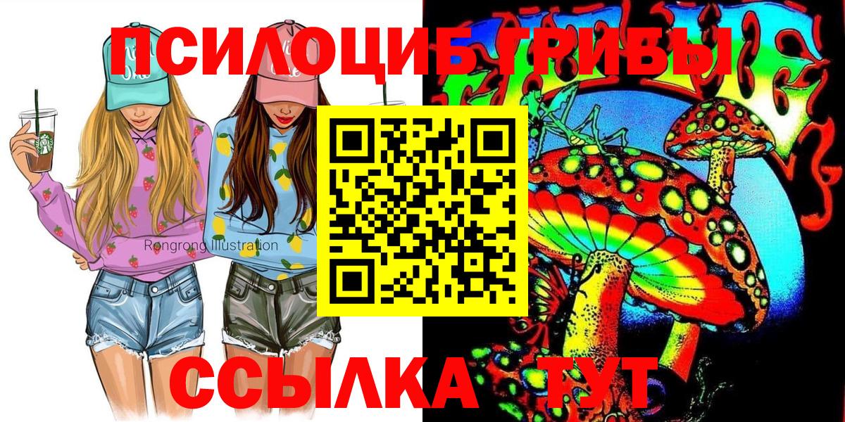 Псилоцибиновые грибы GOLDEN TEACHER Балтийск