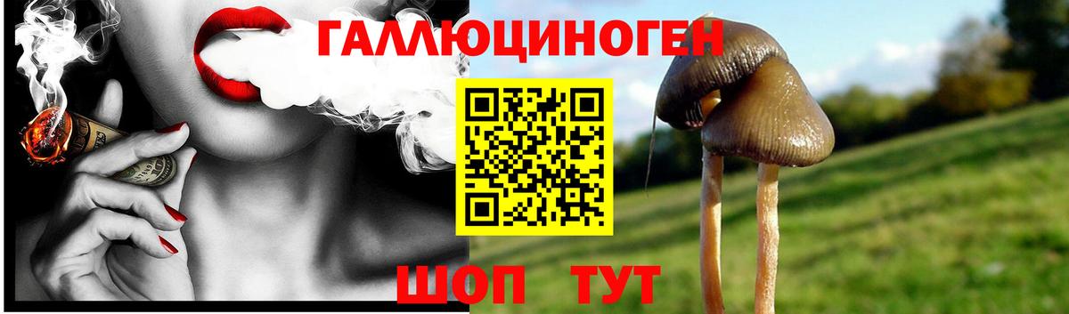 Галлюциногенные грибы Magic Shrooms  купить наркотик  Псилоцибиновые грибы мухоморы  Балтийск  Вход с VPN 